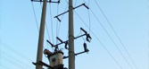水泥電線桿在施工過程中開裂的原因